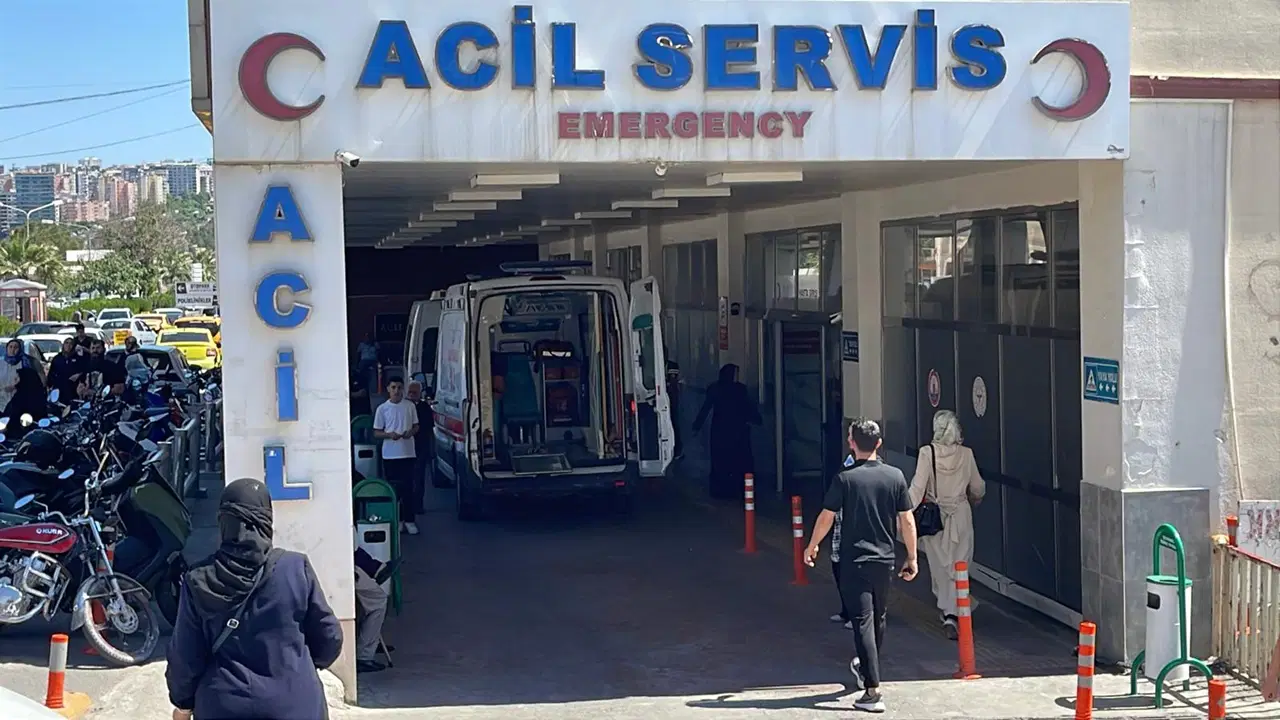 Şanlıurfa'da Yanan Araçta 4 Çocuk Annesi Kadının Cesedi Bulundu: 4 Kişi Gözaltında