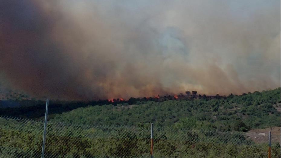 Gebze’de Orman Yangını ve BOTAŞ Doğalgaz Tesislerinin Tahliyesi