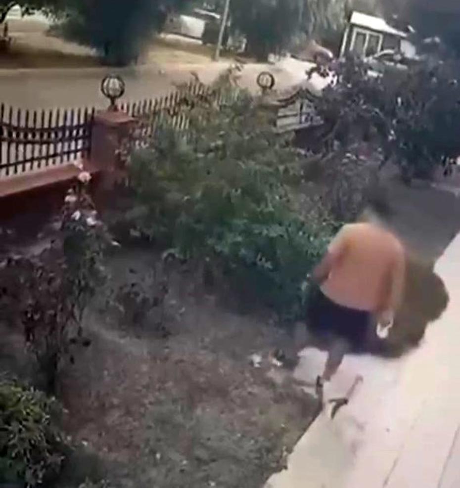 İzmir'de yavrulu kedilere yönelik şiddet olayında saldırgan yakalandı