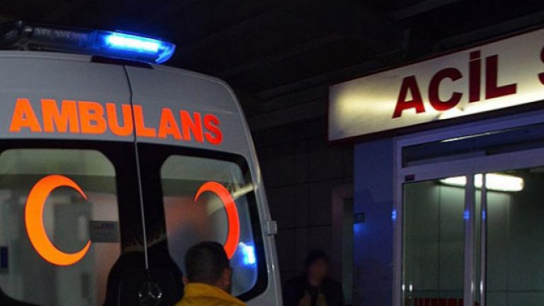 Ordu’da ağaçtan düşen kişi hayatını kaybetti