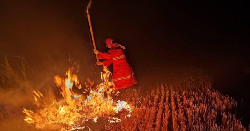 Iğdır’daki anız yangını söndürüldü