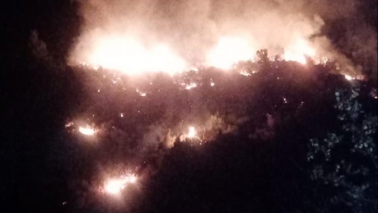 Antalya’da orman yangını – Son haberler