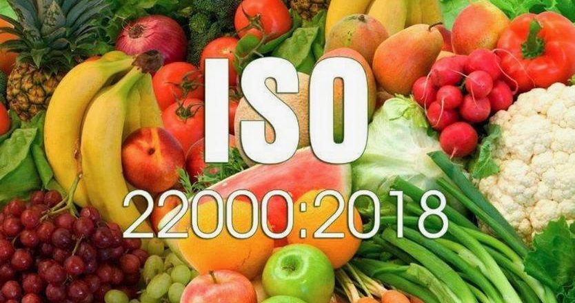 ISO 22000 Belgesi Nasıl Alınır? – Adım Adım Kılavuz