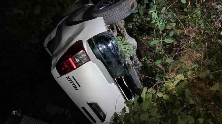 Sakarya’da fındık bahçesinde devrilen kamyonetin sürücüsü yaralandı