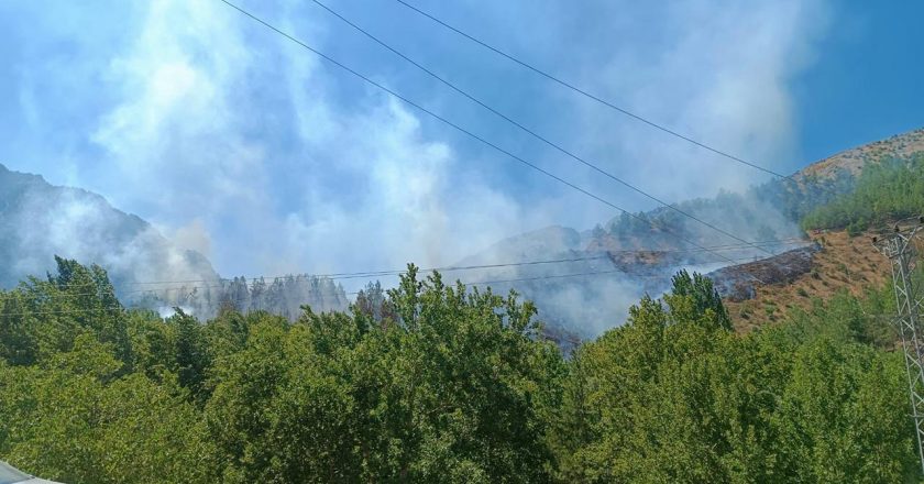 Kahramanmaraş’ta orman yangını – Son haberler