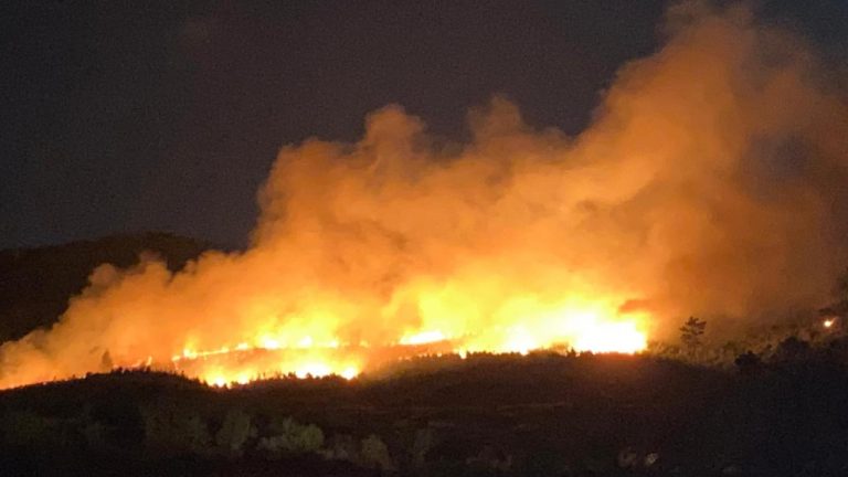 Orman yangınlarıyla mücadele 5 ilde sürüyor