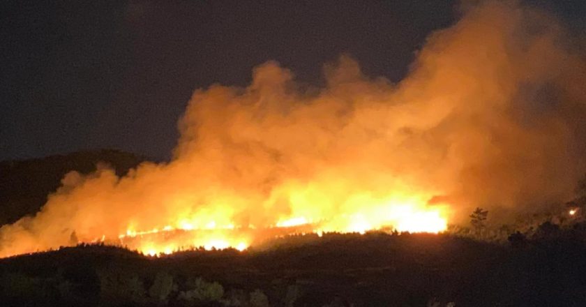 Orman yangınlarıyla mücadele 5 ilde sürüyor