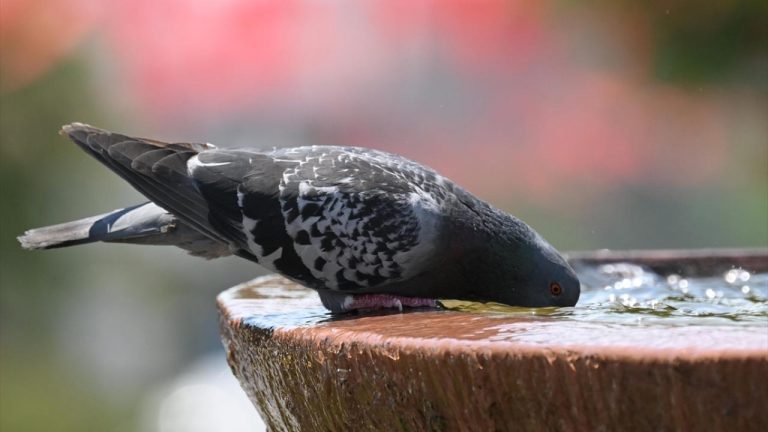 Pazartesi, Pazar’ı geride bırakarak tarihin en sıcak günü oldu