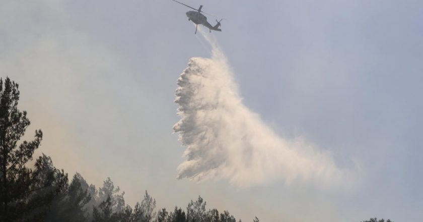 Muğla’da orman yangını çıktı