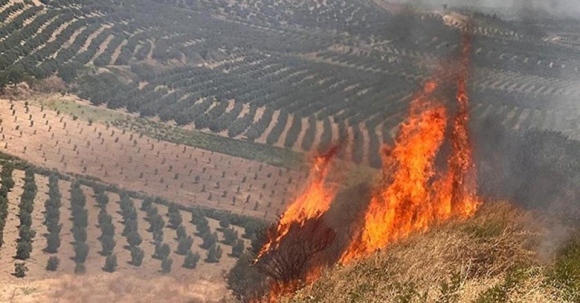 Hatay’da iki farklı noktada çıkan yangın kontrol altına alındı