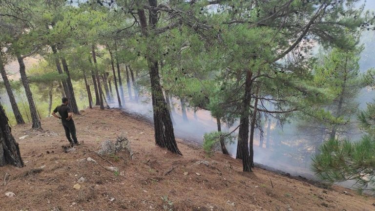 Yıldırım nedeniyle çıkan orman yangınları kontrol altına alındı