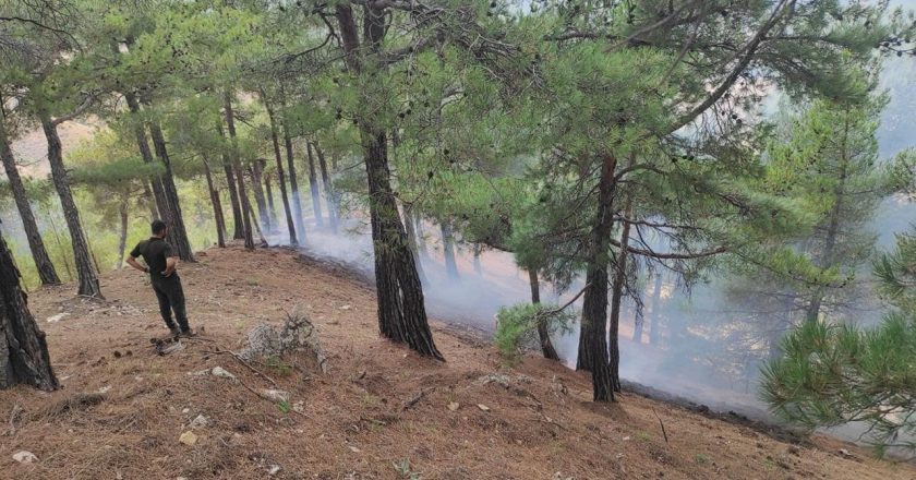 Yıldırım nedeniyle çıkan orman yangınları kontrol altına alındı