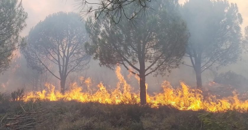 Yalova’da 2 farklı noktada çekim yapın