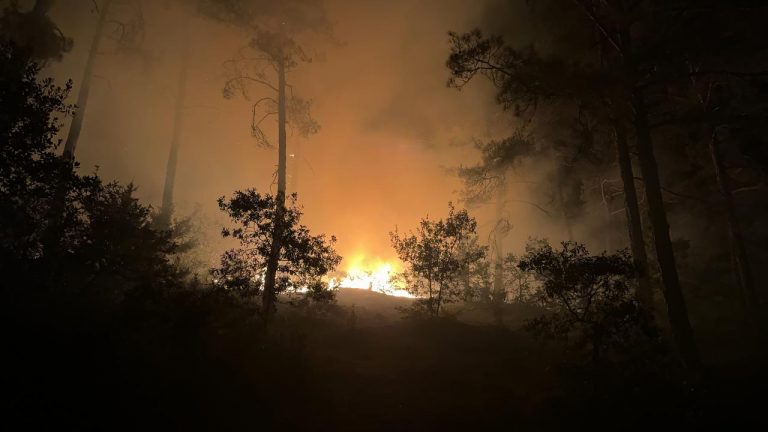 Kahramanmaraş’ta çıkan orman yangınına müdahale gece de sürüyor