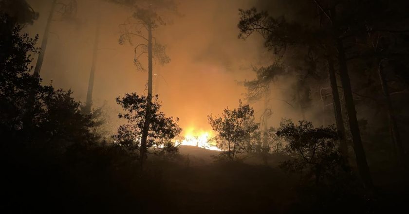 Kahramanmaraş’ta çıkan orman yangınına müdahale gece de sürüyor