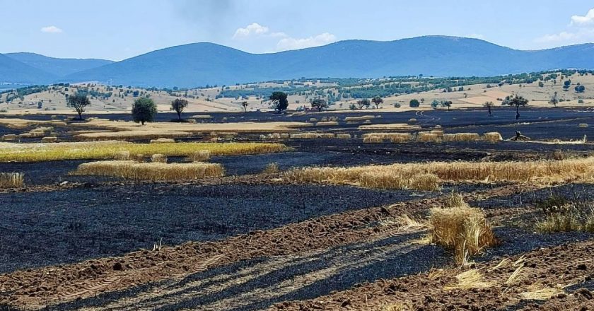 Eskisehir tarım arazisinde çıkan yangın söndürüldü