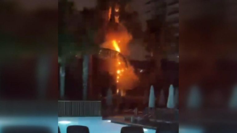 Antalya’da ağaca yıldırım düştü – Son Dakika Haberi