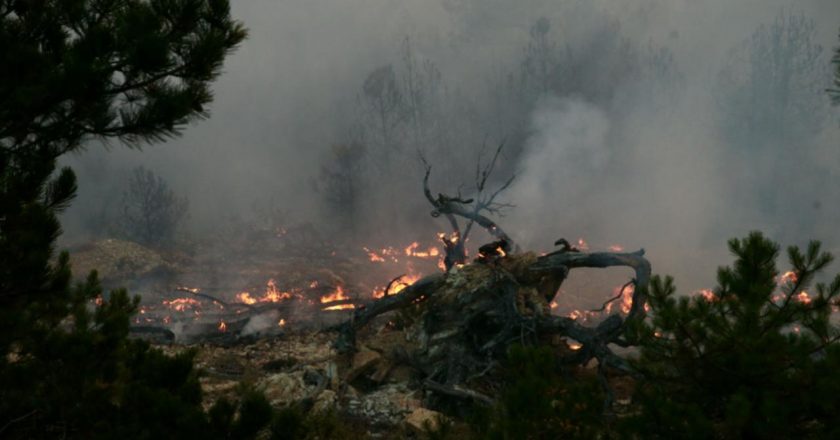 Bolu’daki orman yangınına ilişkin 2 tutuklama