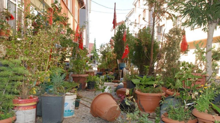 Eskişehir’de emekli iş adamının felçli eşi için evinin önüne yaptırdığı çiçeklik yıkıldı.