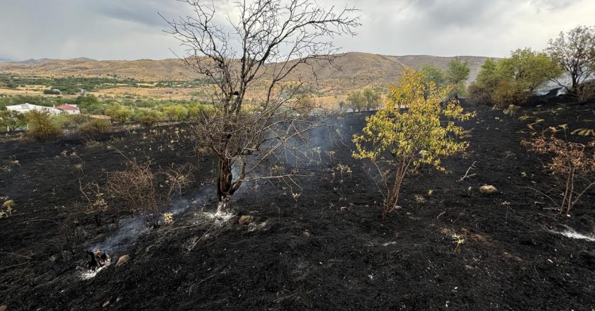 Elazığ’da çıkan yangında 150 dönüm tarım arazisi zarar gördü