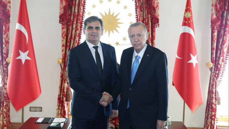 Cumhurbaşkanı Erdoğan, İbrahimoviç’le görüştü