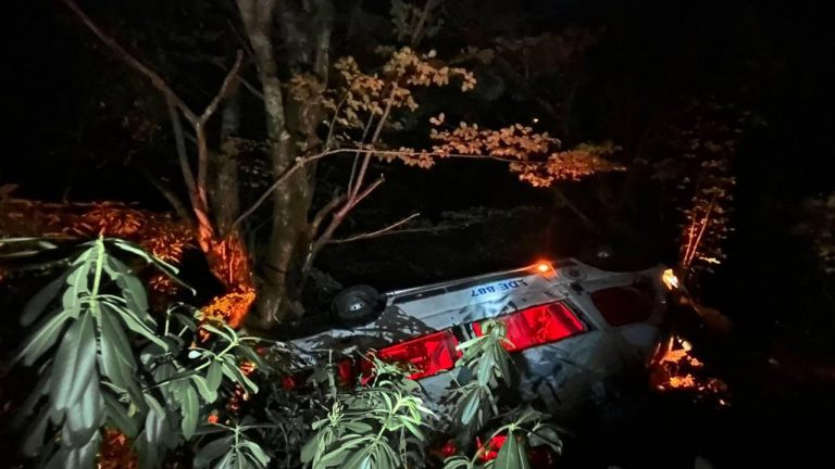 Virajı geçemeyen minibüs uçuruma yuvarlandı: 6 yaralı