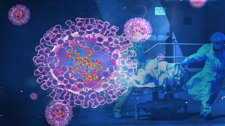 Türkiye’de maymun çiçeği vakası bildirilmedi