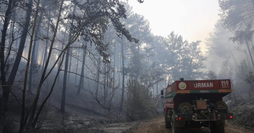 Muğla’daki orman yangınları kontrol altına alındı