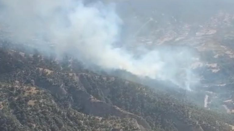 Manisa’da orman yangını