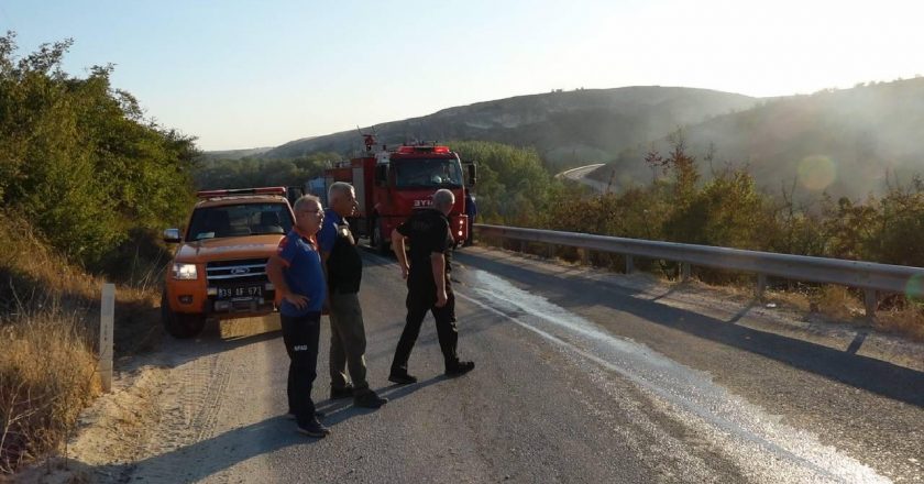 Kırklareli’de korkunç yangın: 600 dönüm arazi zarar gördü