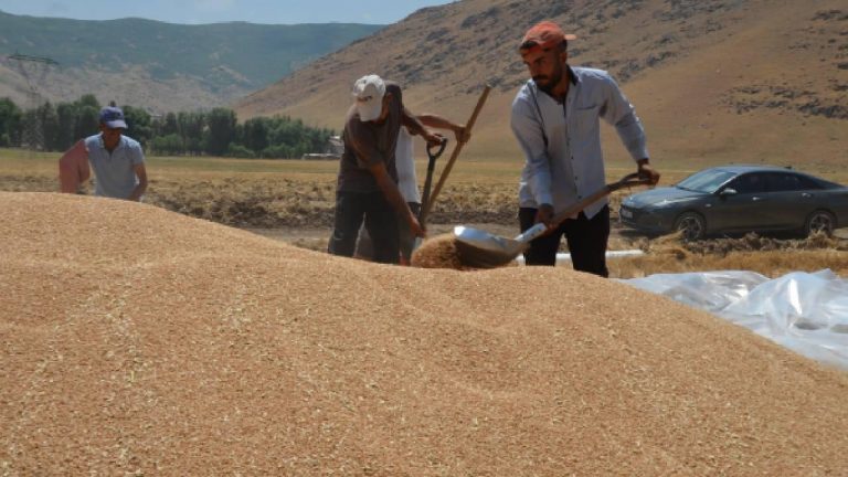 Tarımsal destek ödemeleri bugün hesaplara aktarılacak