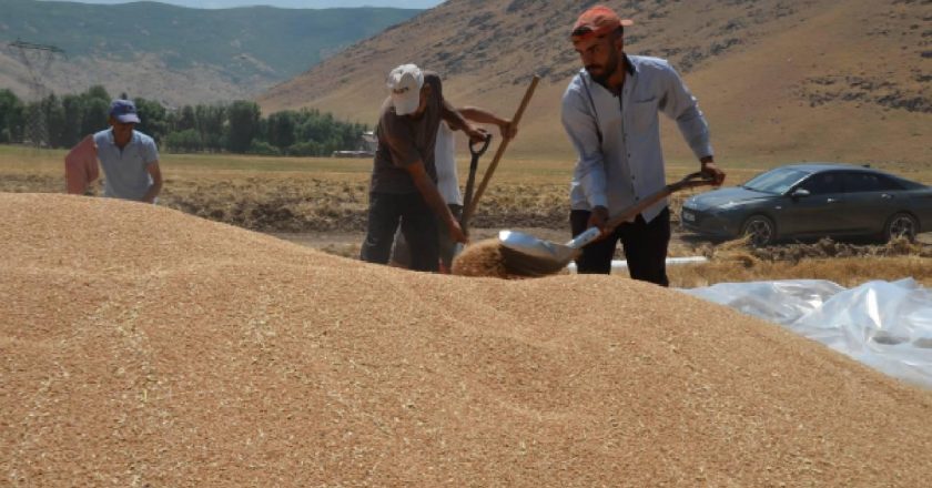 Tarımsal destek ödemeleri bugün hesaplara aktarılacak