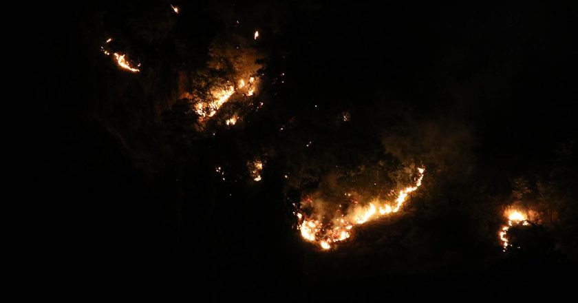 Uşak’ta alevlerle mücadele gece boyu sürdü