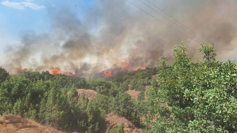Bingöl’de orman yangını: Alevler ilçeye sıçradı