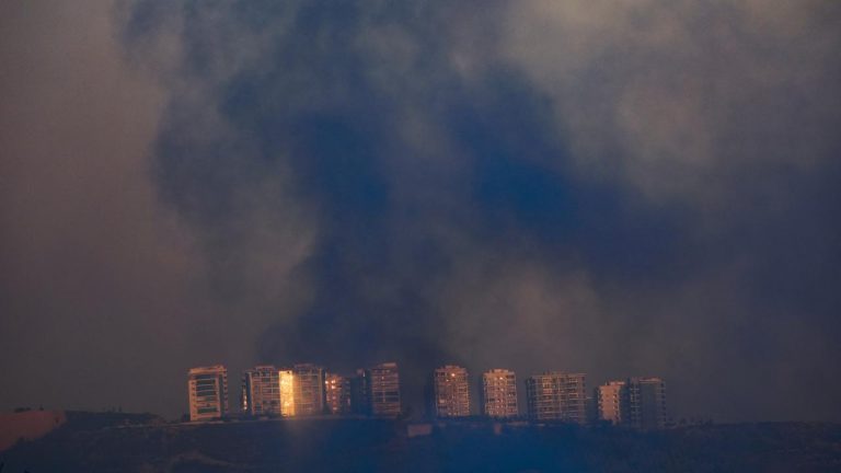 “İzmir’deki yangına gerekli müdahale yapılmadı” iddialarını yalanladı