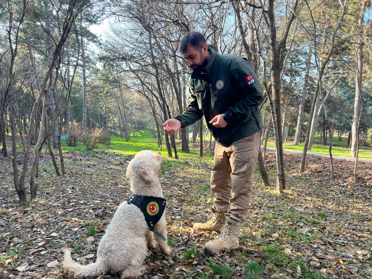 Bakanlık dedektörünün köpekleri ile 4.1 ton ilaç ele geçirildi