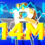Balinalar sayesinde bitcoin’in sıvı olmayan teklifi 14 milyon BTC ile rekoru kırdı