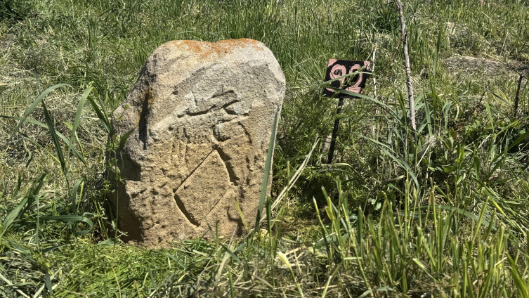 Türk kabilelerinin mezarları, o sırada 750 yıllık ağacın gölgesine direniyor
