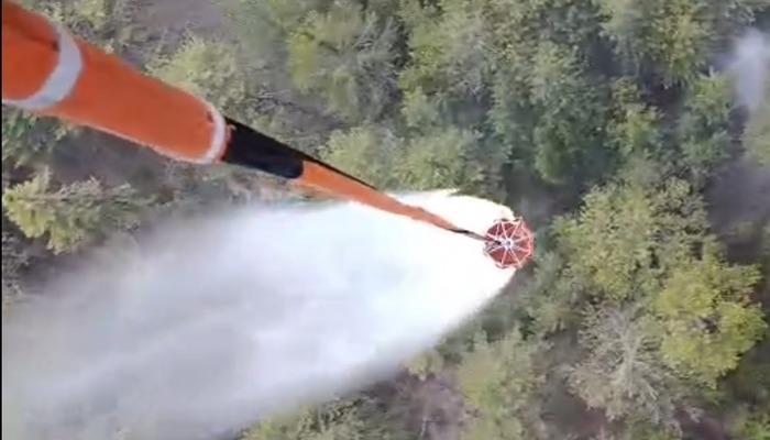Aydin’deki orman yangını kontrol edildi