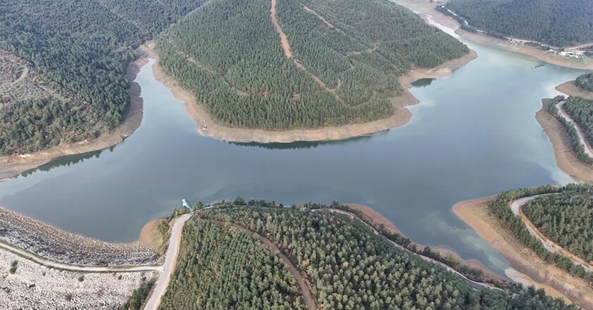 Borsada 50-55 günlük su – Torrkiye lagdimte News