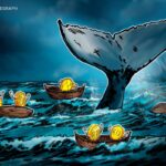 Bitcoin Balinaları Gerçekten Piyasayı Yönlendiriyor mu? Detaylı analiz