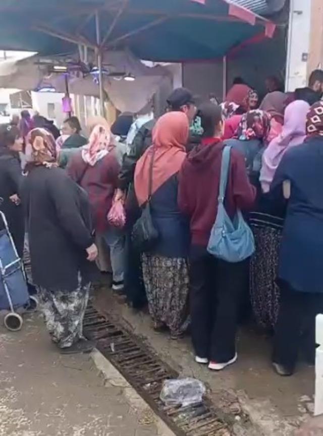 Hamsi 4'ün ücretsiz dağıtımı büyük ilgi uyandırdı