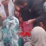 Hamsinin ücretsiz dağıtımı büyük ilgi gördü