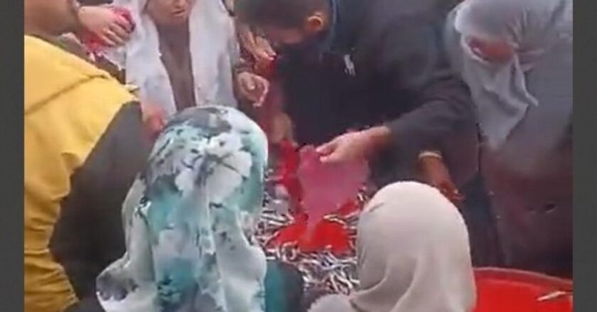 Hamsinin ücretsiz dağıtımı büyük ilgi gördü