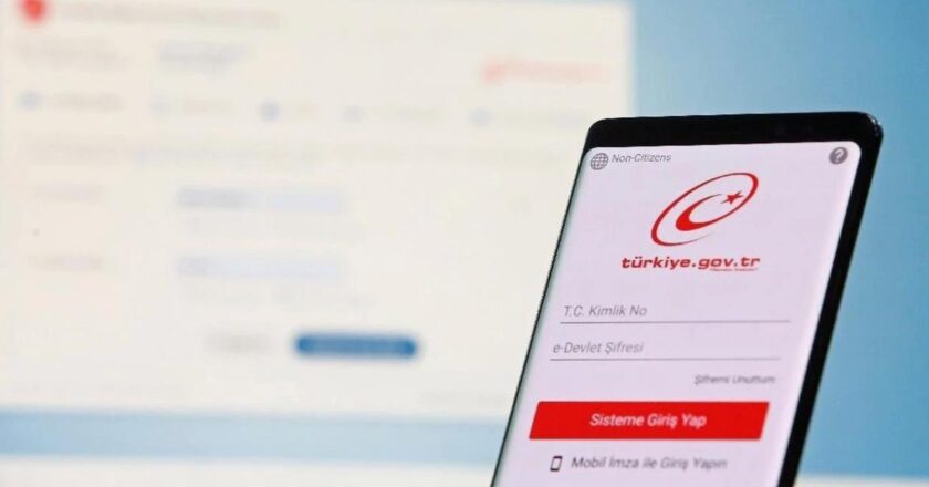 E Devlet sisteminde az kişinin farkında olduğu özellikler ilgi topluyor