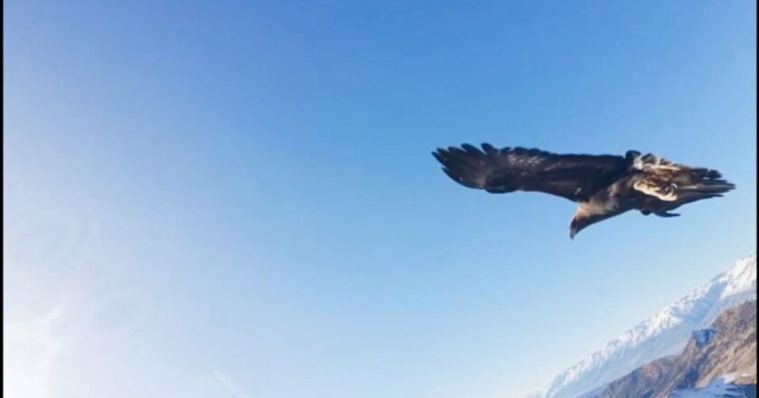 Kartalın Ele Geçirdiği Drone, 6 Saatlik Mücadeleyle Kurtarıldı